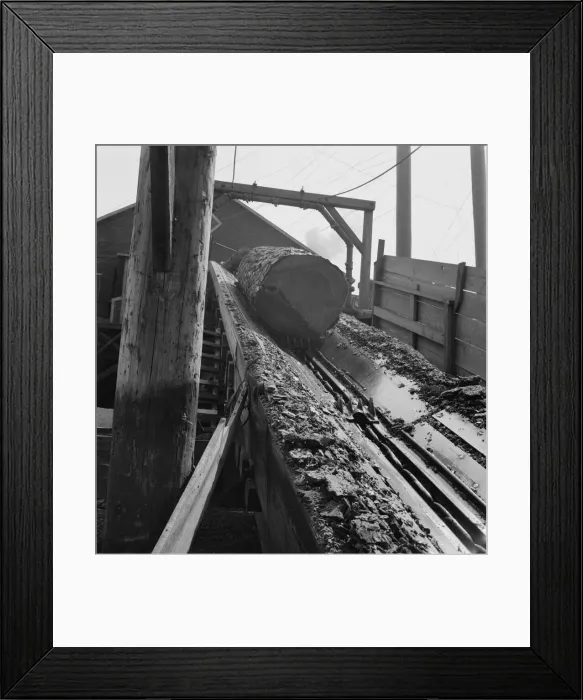 Framed Print : At Pelican Bay Lumber mill logs enter the mill by... near Klamath Falls, Klamath County, Oregon, 1939 Creator: Dorothea Lange Framed Print : At Pelican Bay Lumber mill logs enter the mill by... near Klamath Falls, Klamath County, Oregon, 1939 Creator: Dorothea Lange