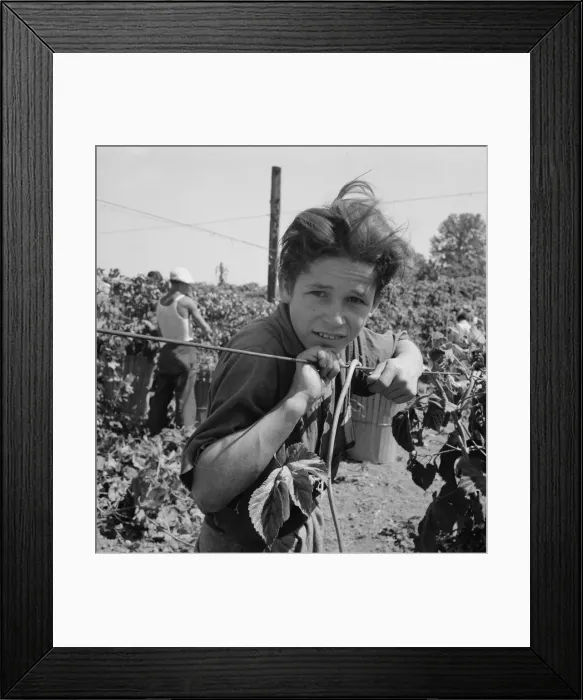 Framed Print : Migratory boy, aged eleven, and his grandmother... near Independence, Polk County, Oregon, 1939. Creator: Dorothea Lange Framed Print : Migratory boy, aged eleven, and his grandmother... near Independence, Polk County, Oregon, 1939. Creator: Dorothea Lange