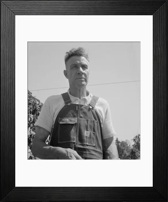 Framed Print : Hop picker, once Nebraska farm owner, near Independence, Polk County, Oregon, 1939. Creator: Dorothea Lange Framed Print : Hop picker, once Nebraska farm owner, near Independence, Polk County, Oregon, 1939. Creator: Dorothea Lange