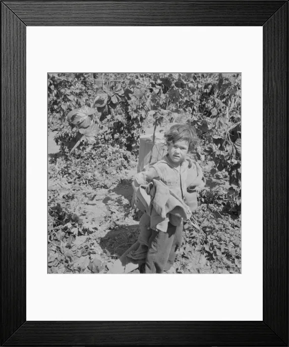 Framed Print : Children work in the hops in Oregon often all day... Independence, Polk County, Oregon, 1939. Creator: Dorothea Lange Framed Print : Children work in the hops in Oregon often all day... Independence, Polk County, Oregon, 1939. Creator: Dorothea Lange