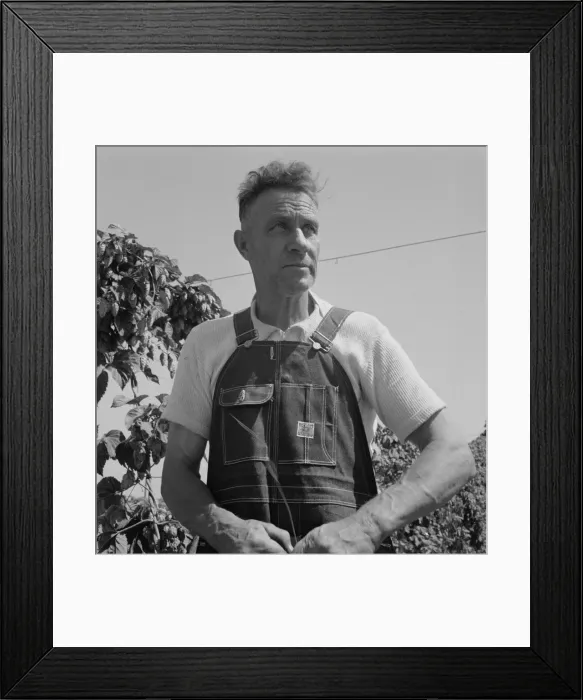 Framed Print : Hop picker, once Nebraska farm owner, Polk County, Oregon, 1939. Creator: Dorothea Lange Framed Print : Hop picker, once Nebraska farm owner, Polk County, Oregon, 1939. Creator: Dorothea Lange