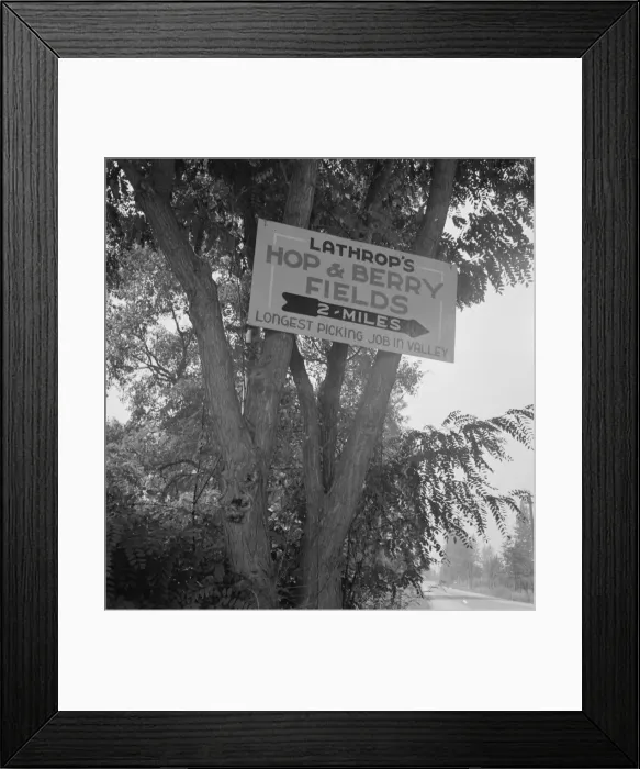 Framed Print : On road off main highway, leading to Roque River, near Grants Pass, Josephine County, Oregon, 1939. Creator: Dorothea Lange Framed Print : On road off main highway, leading to Roque River, near Grants Pass, Josephine County, Oregon, 1939. Creator: Dorothea Lange