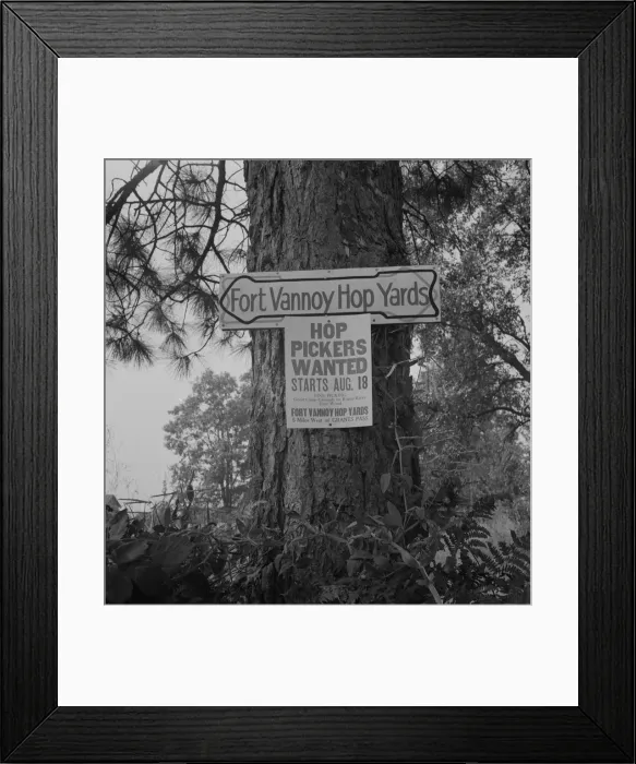 Framed Print : On road off main highway, leading to Roque River, near Grants Pass, Josephine County, Oregon, 1939. Creator: Dorothea Lange Framed Print : On road off main highway, leading to Roque River, near Grants Pass, Josephine County, Oregon, 1939. Creator: Dorothea Lange