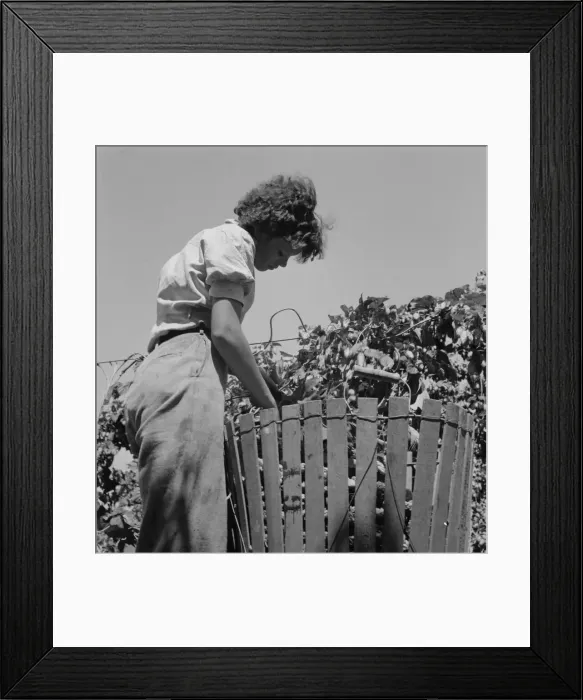 Framed Print : Possibly: Wife of an ex-logger, now a migrat... Independence (vicinity), Polk County, Oregon, 1939. Creator: Dorothea Lange Framed Print : Possibly: Wife of an ex-logger, now a migrat... Independence (vicinity), Polk County, Oregon, 1939. Creator: Dorothea Lange