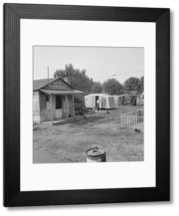 Framed Print : Yakima shacktown, (Sumac Park) is one of several large shacktown communities... Washington, 1939. Creator: Dorothea Lange Framed Print : Yakima shacktown, (Sumac Park) is one of several large shacktown communities... Washington, 1939. Creator: Dorothea Lange