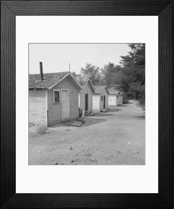 Framed Print : Yakima shacktown, (Sumac Park) is one of several large shacktown communities... Washington, 1939. Creator: Dorothea Lange Framed Print : Yakima shacktown, (Sumac Park) is one of several large shacktown communities... Washington, 1939. Creator: Dorothea Lange
