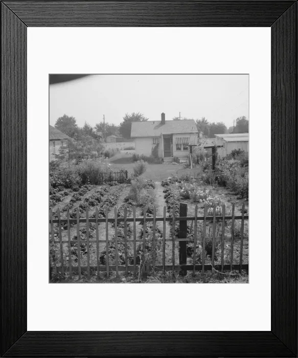 Framed Print : In Sumac Park, Yakima, Washington, 1939. Creator: Dorothea Lange Framed Print : In Sumac Park, Yakima, Washington, 1939. Creator: Dorothea Lange