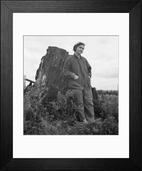 Framed Print : Possibly: Mrs Arnold, age thirty two, does mans work... Michigan Hill, Thurston County, 1939. Creator: Dorothea Lange Framed Print : Possibly: Mrs Arnold, age thirty two, does mans work... Michigan Hill, Thurston County, 1939. Creator: Dorothea Lange