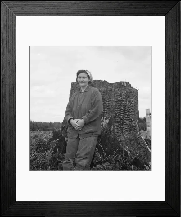 Framed Print : Mrs Arnold, age thirty two, does mans work on the rough... Michigan Hill, Thurston County, 1939. Creator: Dorothea Lange Framed Print : Mrs Arnold, age thirty two, does mans work on the rough... Michigan Hill, Thurston County, 1939. Creator: Dorothea Lange