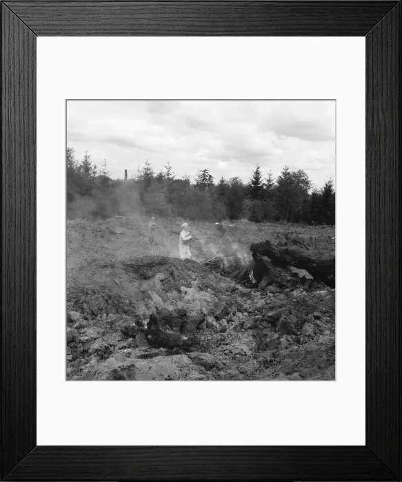 Framed Print : After bulldozer has taken out and piled the heavy stumps... Michigan Hill, Thurston County, 1939. Creator: Dorothea Lange Framed Print : After bulldozer has taken out and piled the heavy stumps... Michigan Hill, Thurston County, 1939. Creator: Dorothea Lange