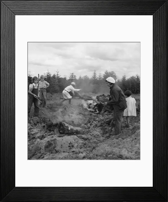 Framed Print : After bulldozer has taken out and piled the heavy stumps... Michigan Hill, Thurston County, 1939. Creator: Dorothea Lange Framed Print : After bulldozer has taken out and piled the heavy stumps... Michigan Hill, Thurston County, 1939. Creator: Dorothea Lange