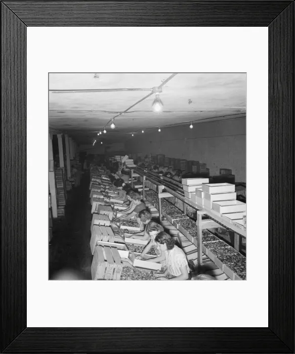 Framed Print : Packing fresh prunes at night on Produce Row during busy season, Yakima, Washington, 1939. Creator: Dorothea Lange