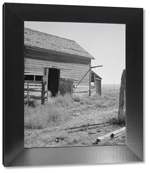 Possibly: Weeds crowd the barn door abandoned in Columbian Basin, Grant County, Washington, 1939. Creator: Dorothea Lange
