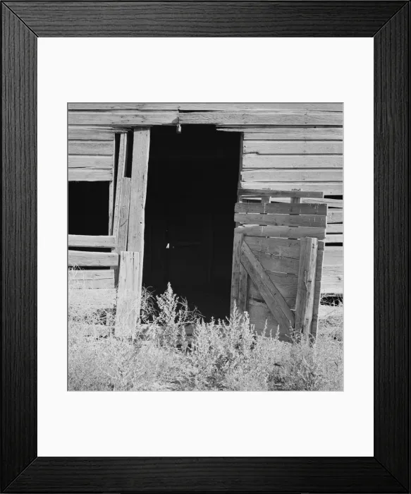 Framed Print : Weeds crowd the barn door abandoned in Columbian Basin, Grant County, Washington, 1939. Creator: Dorothea Lange Framed Print : Weeds crowd the barn door abandoned in Columbian Basin, Grant County, Washington, 1939. Creator: Dorothea Lange