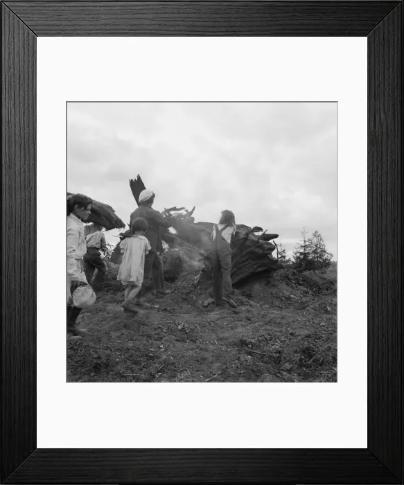 Framed Print : Possibly: Mrs. Arnold and her children before the stump pile, Michigan Hill, Washington, 1939. Creator: Dorothea Lange Framed Print : Possibly: Mrs. Arnold and her children before the stump pile, Michigan Hill, Washington, 1939. Creator: Dorothea Lange