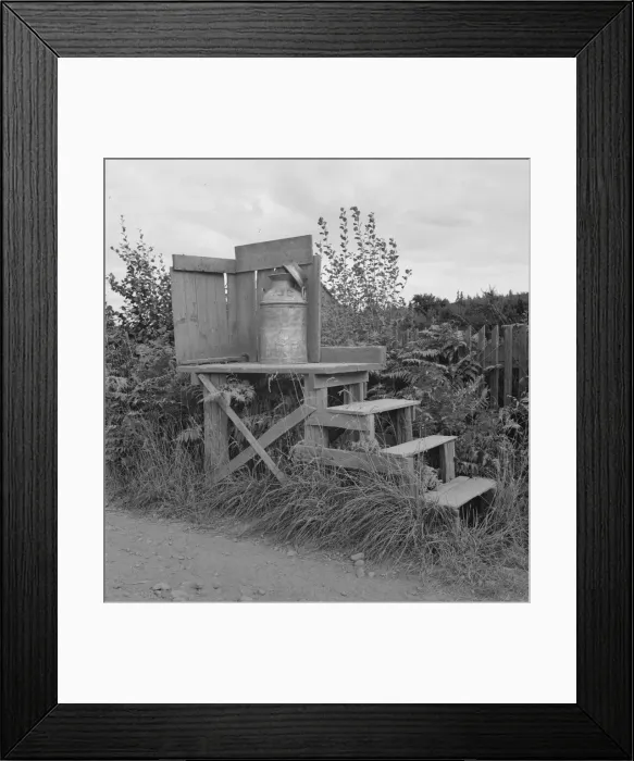 Framed Print : Kytta family, FSA borrowers on non-commercial experiment, Michigan Hill, Washington, 1939. Creator: Dorothea Lange Framed Print : Kytta family, FSA borrowers on non-commercial experiment, Michigan Hill, Washington, 1939. Creator: Dorothea Lange