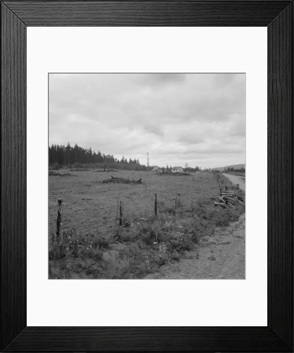 Framed Print : Possibly: Another cut-over farm located across the road from... Michigan Hill, Washington, 1939. Creator: Dorothea Lange Framed Print : Possibly: Another cut-over farm located across the road from... Michigan Hill, Washington, 1939. Creator: Dorothea Lange