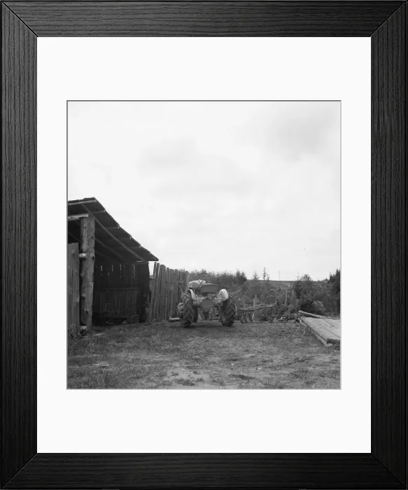 Framed Print : Arnold yard, Michigan Hill, Thurston County, Western Washington, 1939. Creator: Dorothea Lange Framed Print : Arnold yard, Michigan Hill, Thurston County, Western Washington, 1939. Creator: Dorothea Lange