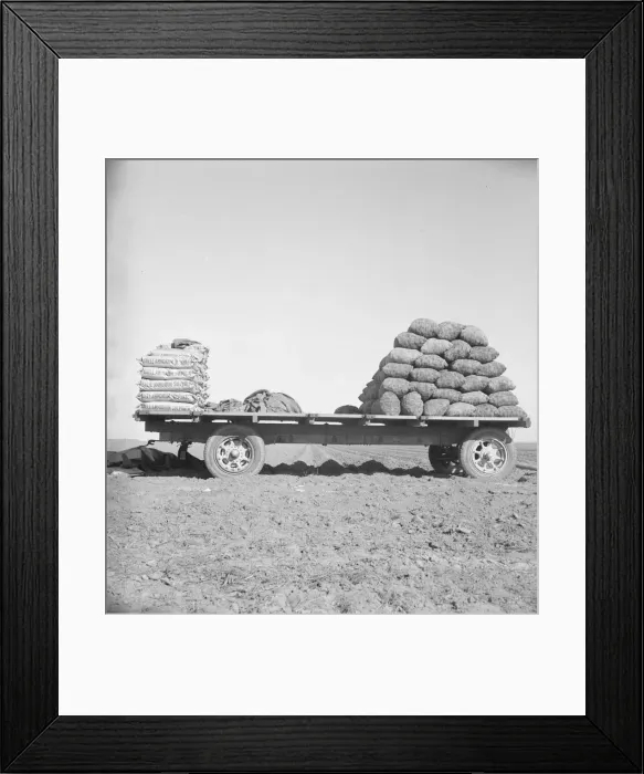 Framed Print : Supply of fertilizer and potato seed on edge of field... Kern County, California, 1939. Creator: Dorothea Lange Framed Print : Supply of fertilizer and potato seed on edge of field... Kern County, California, 1939. Creator: Dorothea Lange