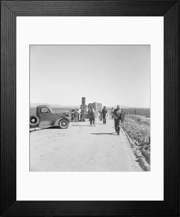 Framed Print : Five hundred pea pickers in field of large-scale Sinclair... Near Calipatria, CA, 1939. Creator: Dorothea Lange Framed Print : Five hundred pea pickers in field of large-scale Sinclair... Near Calipatria, CA, 1939. Creator: Dorothea Lange