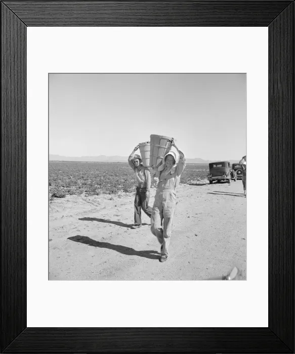 Framed Print : Pea pickers coming in to the weigh master, Sinclair Ranch, near Calipatria, California, 1939. Creator: Dorothea Lange Framed Print : Pea pickers coming in to the weigh master, Sinclair Ranch, near Calipatria, California, 1939. Creator: Dorothea Lange