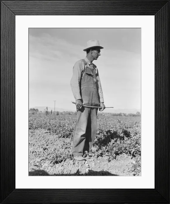 Framed Print : Row boss, formerly a pea picker, near Calipatria, California, 1939. Creator: Dorothea Lange Framed Print : Row boss, formerly a pea picker, near Calipatria, California, 1939. Creator: Dorothea Lange