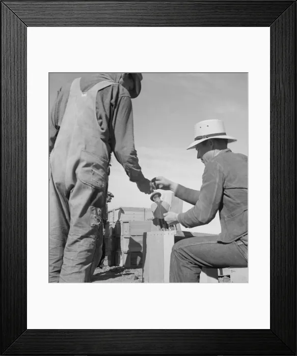 Framed Print : Paymaster on edge of pea fields... near Calipatria, Imperial Valley, California, 1939. Creator: Dorothea Lange Framed Print : Paymaster on edge of pea fields... near Calipatria, Imperial Valley, California, 1939. Creator: Dorothea Lange