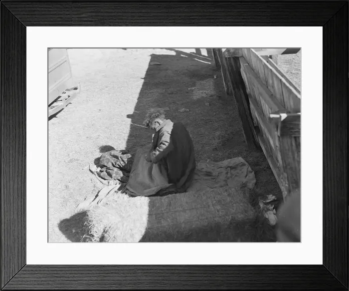 Framed Print : Hobo wakes up early in the morning from his bed alongside a corral, Imperial Valley, CA, 1939. Creator: Dorothea Lange Framed Print : Hobo wakes up early in the morning from his bed alongside a corral, Imperial Valley, CA, 1939. Creator: Dorothea Lange