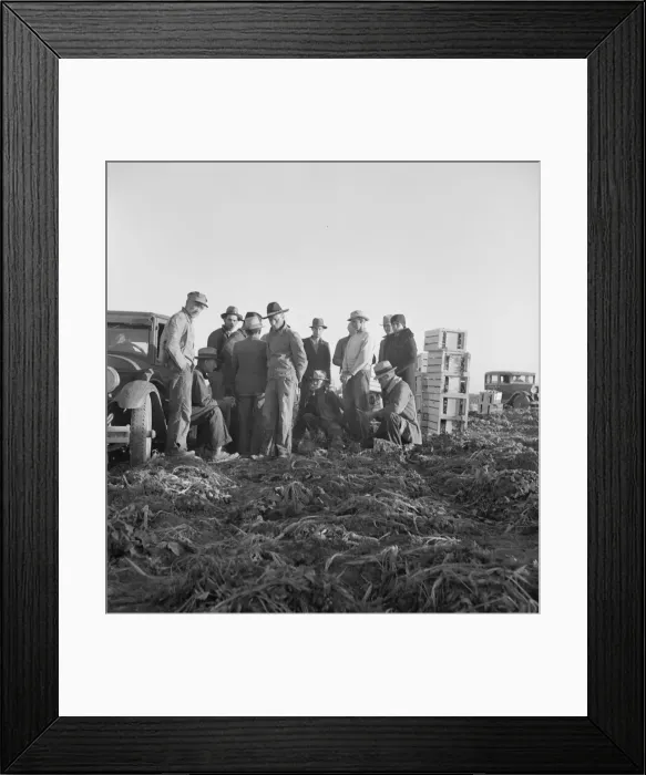 Framed Print : Migratory field workers at 5 a. m. waiting in the carrot field to hold a place to work, 1939. Creator: Dorothea Lange Framed Print : Migratory field workers at 5 a. m. waiting in the carrot field to hold a place to work, 1939. Creator: Dorothea Lange