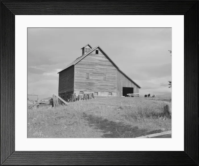 Framed Print : The barn of an older settler on established farm, Boundary County, Idaho, 1939. Creator: Dorothea Lange Framed Print : The barn of an older settler on established farm, Boundary County, Idaho, 1939. Creator: Dorothea Lange