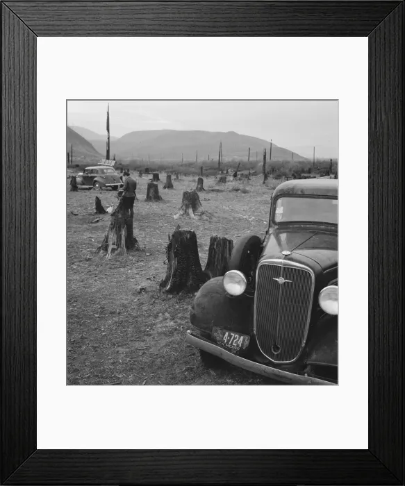 Framed Print : Possibly: Fenced pasture on cut-over farm, Priest River Valley, Bonner County, Idaho, 1939. Creator: Dorothea Lange Framed Print : Possibly: Fenced pasture on cut-over farm, Priest River Valley, Bonner County, Idaho, 1939. Creator: Dorothea Lange