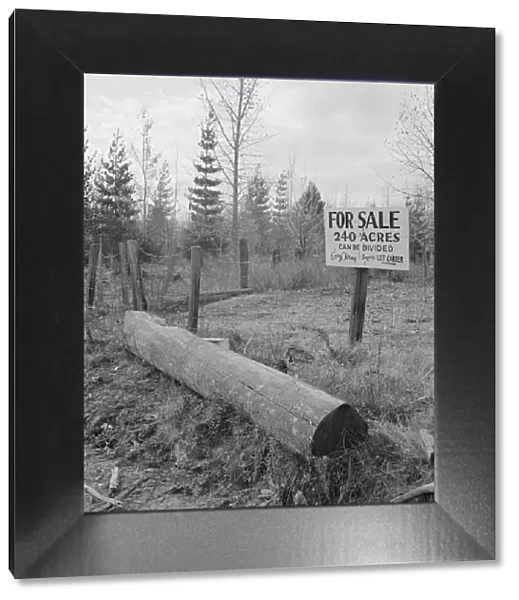 Sign on back road in cut-over area, Boundary County, Idaho, 1939. Creator: Dorothea Lange