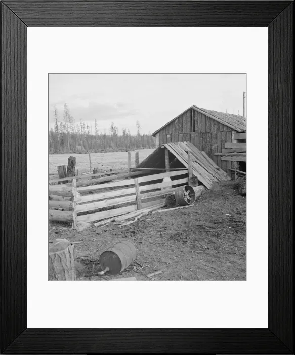 Framed Print : Farm buildings, slab construction, on new stump farm. Boundary County, Idaho, 1939. Creator: Dorothea Lange