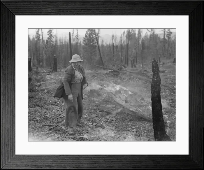 Framed Print : Family work clearing land by burning, near Bonners Ferry, Boundary County, Idaho, 1939. Creator: Dorothea Lange Framed Print : Family work clearing land by burning, near Bonners Ferry, Boundary County, Idaho, 1939. Creator: Dorothea Lange