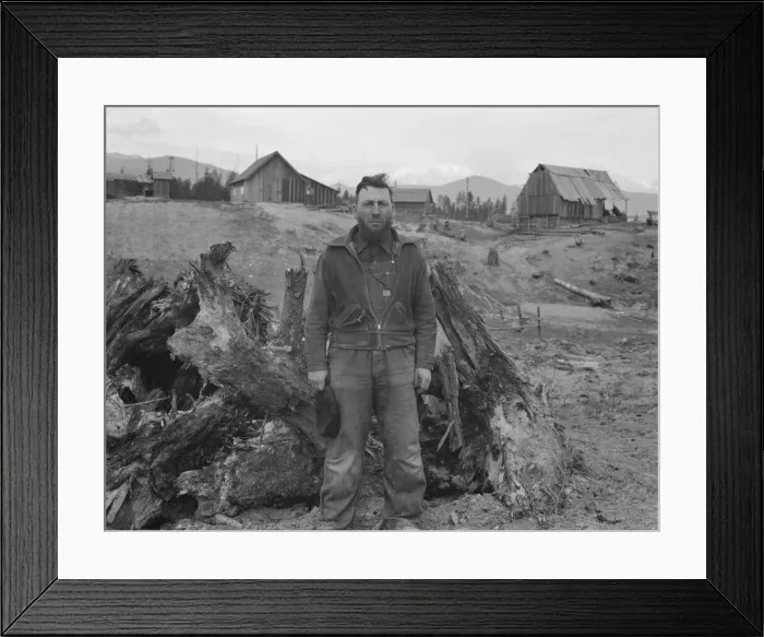 Framed Print : Mennonite farmer, formerly wheat farmer in Kansas... Boundary County, Idaho, 1939. Creator: Dorothea Lange Framed Print : Mennonite farmer, formerly wheat farmer in Kansas... Boundary County, Idaho, 1939. Creator: Dorothea Lange