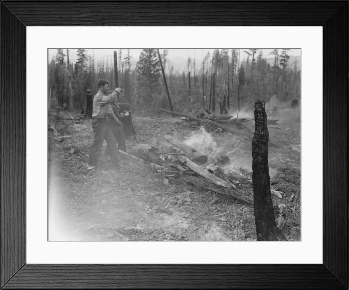 Framed Print : Family work clearing land by burning, near Bonners Ferry, Boundary County, Idaho, 1939. Creator: Dorothea Lange Framed Print : Family work clearing land by burning, near Bonners Ferry, Boundary County, Idaho, 1939. Creator: Dorothea Lange
