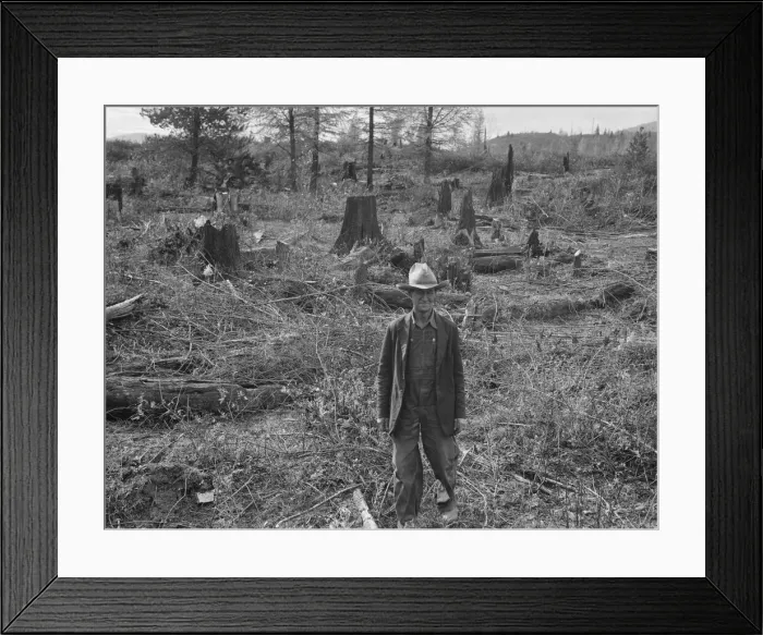 Framed Print : Ex-Nebraska farmer and the piece of land which he hopes... Bonner County, Idaho, 1939. Creator: Dorothea Lange Framed Print : Ex-Nebraska farmer and the piece of land which he hopes... Bonner County, Idaho, 1939. Creator: Dorothea Lange