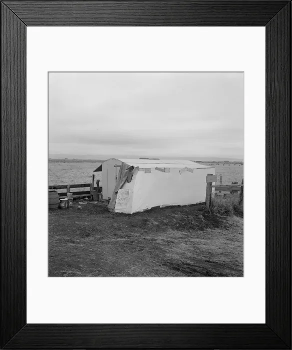 Framed Print : Outside of potato pickers camp, across from the... Tulelake, Siskiyou County, California, 1939. Creator: Dorothea Lange Framed Print : Outside of potato pickers camp, across from the... Tulelake, Siskiyou County, California, 1939. Creator: Dorothea Lange