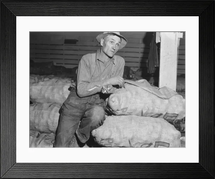 Framed Print : Klamath Basin potato farmer, Tulelake, Siskiyou County, California, 1939. Creator: Dorothea Lange Framed Print : Klamath Basin potato farmer, Tulelake, Siskiyou County, California, 1939. Creator: Dorothea Lange