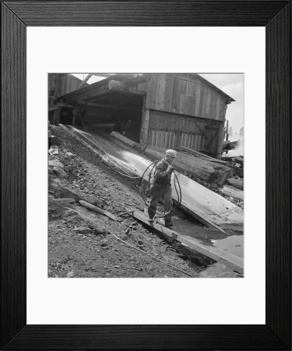 Framed Print : Pond monkey carrying cable from mill shed to pond, Keno, Klamath County, Oregon, 1939. Creator: Dorothea Lange Framed Print : Pond monkey carrying cable from mill shed to pond, Keno, Klamath County, Oregon, 1939. Creator: Dorothea Lange