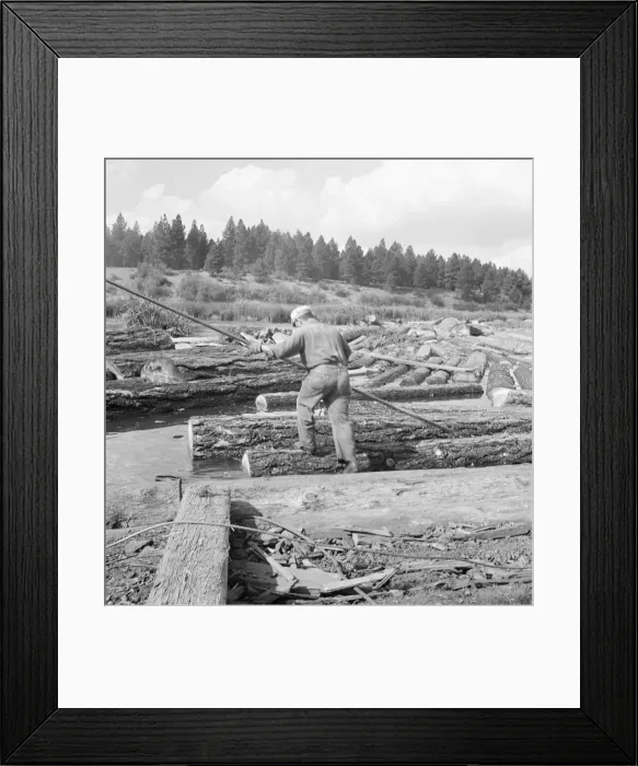 Framed Print : Pond monkey steers log raft in mill pond, Keno, Klamath County, Oregon, 1939. Creator: Dorothea Lange Framed Print : Pond monkey steers log raft in mill pond, Keno, Klamath County, Oregon, 1939. Creator: Dorothea Lange