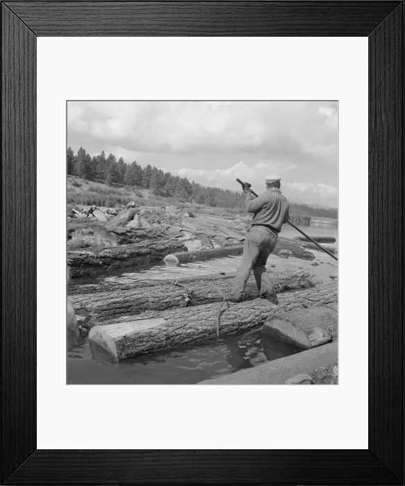 Framed Print : Pond monkey channels log raft, Keno, Klamath County, Oregon, 1939. Creator: Dorothea Lange Framed Print : Pond monkey channels log raft, Keno, Klamath County, Oregon, 1939. Creator: Dorothea Lange