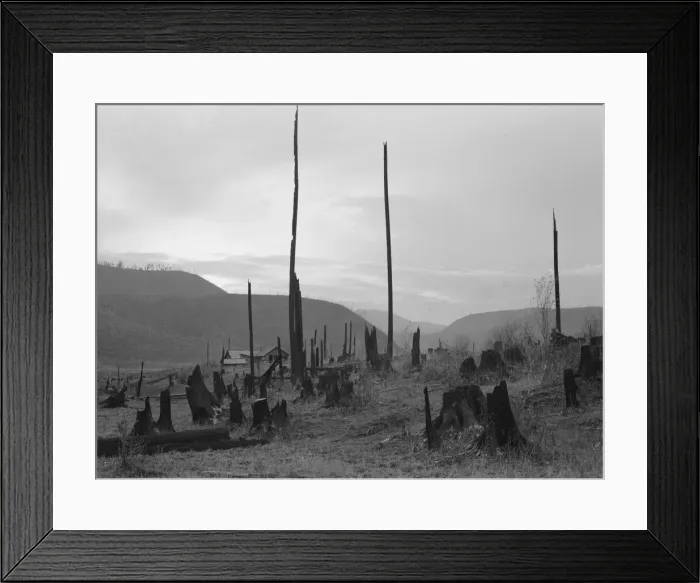 Framed Print : Possibly: View of the Halley farm. Priest River Peninsula, Bonner County, Idaho, 1939. Creator: Dorothea Lange Framed Print : Possibly: View of the Halley farm. Priest River Peninsula, Bonner County, Idaho, 1939. Creator: Dorothea Lange