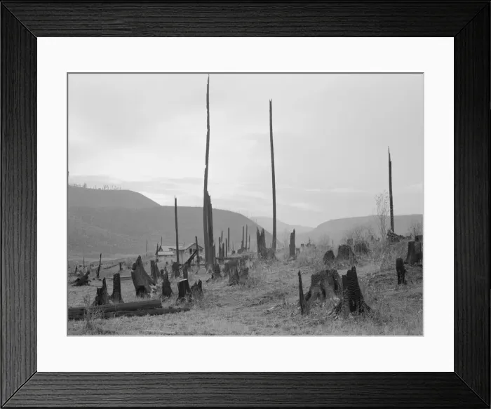 Framed Print : View of the Halley farm. Priest River Peninsula. Bonner County, Idaho, 1939. Creator: Dorothea Lange Framed Print : View of the Halley farm. Priest River Peninsula. Bonner County, Idaho, 1939. Creator: Dorothea Lange