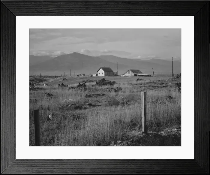 Framed Print : New home, new fence, newly cleared land of farme... Priest River Valley, Bonner County, Idaho, 1939 Creator: Dorothea Lange Framed Print : New home, new fence, newly cleared land of farme... Priest River Valley, Bonner County, Idaho, 1939 Creator: Dorothea Lange