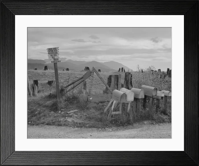 Framed Print : Crossroads off the highway in cut-over area, Boundary County, Idaho, 1939. Creator: Dorothea Lange Framed Print : Crossroads off the highway in cut-over area, Boundary County, Idaho, 1939. Creator: Dorothea Lange