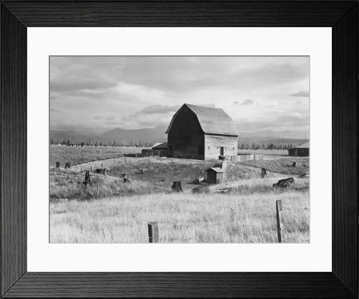 Framed Print : Type barn, characteristic of Idaho, on farm of older settler, Boundary County, Idaho, 1939. Creator: Dorothea Lange Framed Print : Type barn, characteristic of Idaho, on farm of older settler, Boundary County, Idaho, 1939. Creator: Dorothea Lange
