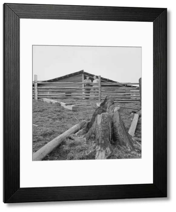 Framed Print : Possibly: Farm family in the cut-over land, Priest River Valley, Bonner County, Idaho, 1939. Creator: Dorothea Lange Framed Print : Possibly: Farm family in the cut-over land, Priest River Valley, Bonner County, Idaho, 1939. Creator: Dorothea Lange