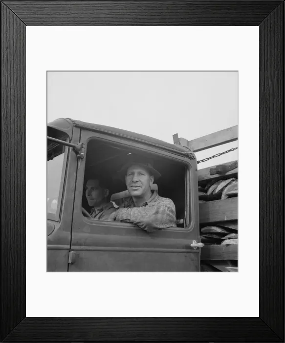 Framed Print : Stump farmer hauling load of slab wood for sale in town, Bonner County, Idaho, 1939. Creator: Dorothea Lange Framed Print : Stump farmer hauling load of slab wood for sale in town, Bonner County, Idaho, 1939. Creator: Dorothea Lange