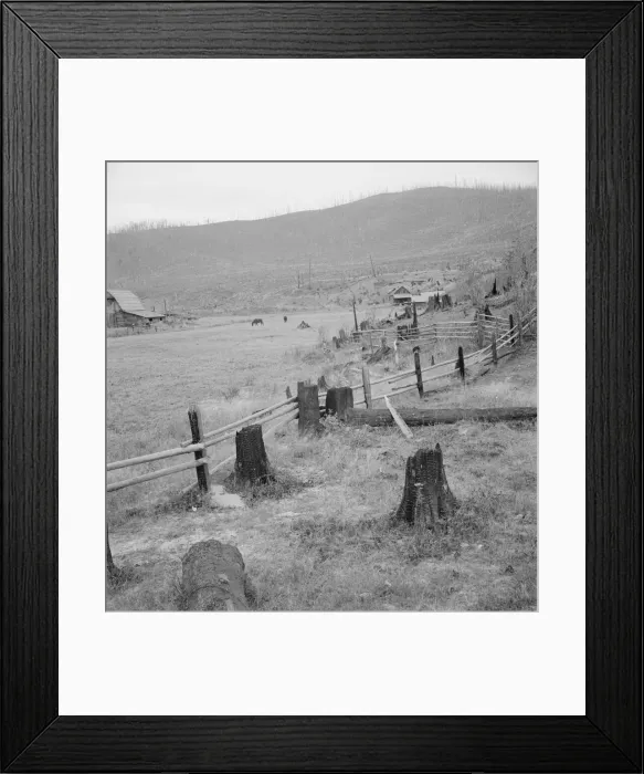 Framed Print : Fenced pasture on cut-over farm, Priest River Valley, Bonner County, Idaho, 1939. Creator: Dorothea Lange Framed Print : Fenced pasture on cut-over farm, Priest River Valley, Bonner County, Idaho, 1939. Creator: Dorothea Lange